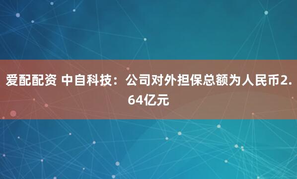 爱配配资 中自科技：公司对外担保总额为人民币2.64亿元
