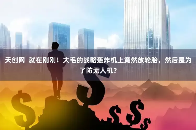 天创网  就在刚刚！大毛的战略轰炸机上竟然放轮胎，然后是为了防无人机？