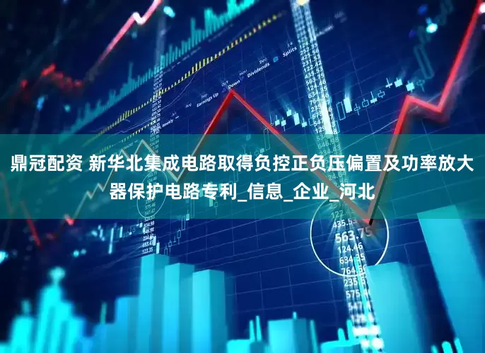 鼎冠配资 新华北集成电路取得负控正负压偏置及功率放大器保护电路专利_信息_企业_河北
